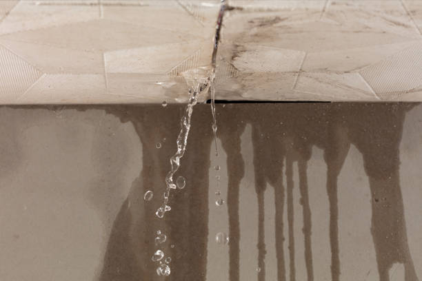 Professional Structural Drying technician working in Wauseon, OH